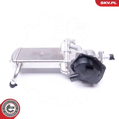 AGR-Ventil ESEN SKV 14SKV151
