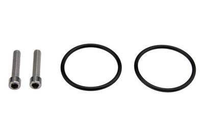 Set reparat, pompă cuplaj lamelar (tracțiune integr.) MTR 13310489