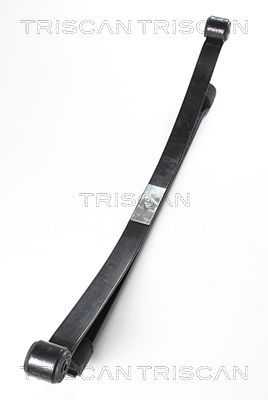 TRISCAN Federnpaket