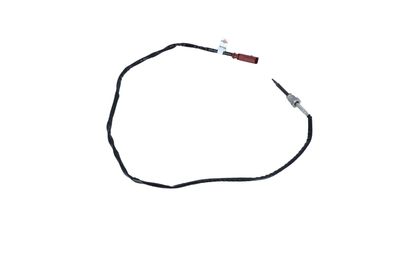 SENZOR TEMPERATURA GAZE EVACUARE NRF 707188 27