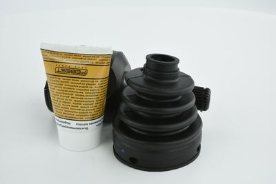 SET ARTICULATIE PLANETARA FEBEST 2011SEB 29