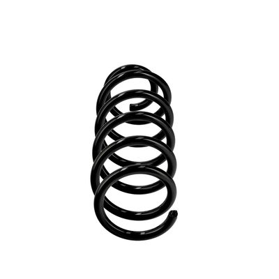 ARC SPIRAL EIBACH R22963 13