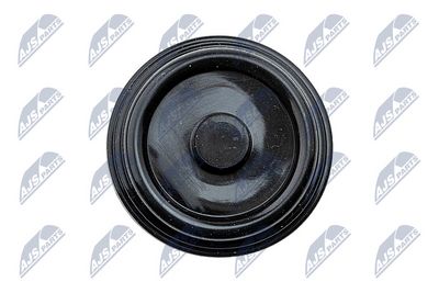 CAPAC CULBUTOR NTY BPZWW000A 2