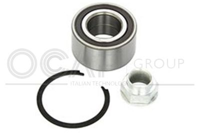 SET RULMENT ROATA OCAP 6120147
