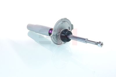 AMORTIZOR GH GH351572H 24