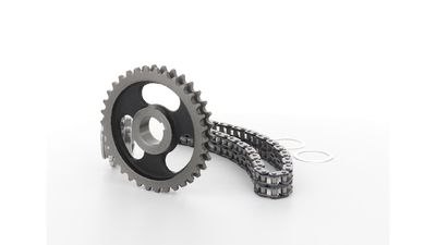 STEUERKETTENSATZ SKF VKML81008 16