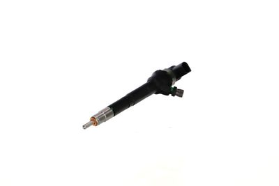 INJECTOR REMANTE 002003001751R 6