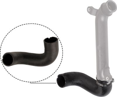 FURTUN EAR SUPRAALIMENTARE