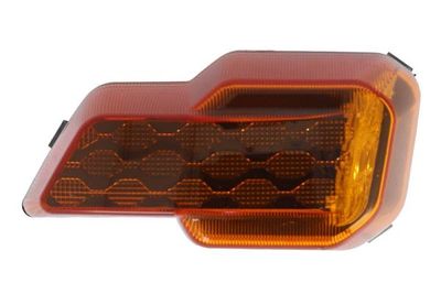 Controlelampje, zijkant Links (kleur van het glas: oranje, met lampvoet) past: FORD F-MAX 11.18-