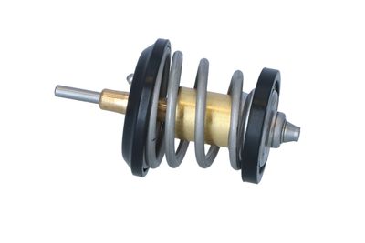 TERMOSTAT LICHID RACIRE NRF 725250 15