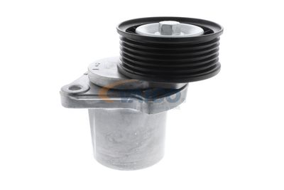 INTINZATOR CUREA CUREA DISTRIBUTIE VAICO V250445 24