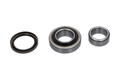 Kavo Parts Rato guolio komplektas