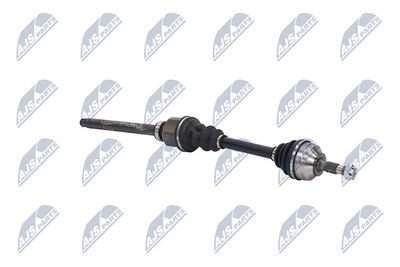 PLANETARA NTY NPWCT155 10