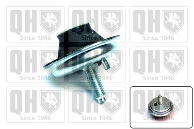 Подвеска, двигатель QUINTON HAZELL EM4144 для PEUGEOT 206