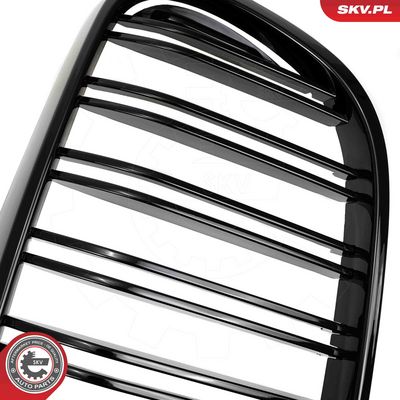 GRILA RADIATOR ESEN SKV 66SKV223 8