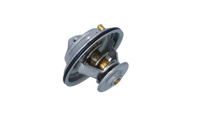 TERMOSTAT LICHID RACIRE NRF 725075 21