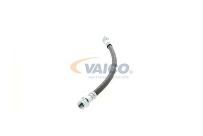 FURTUN FRANA VAICO V104127 24