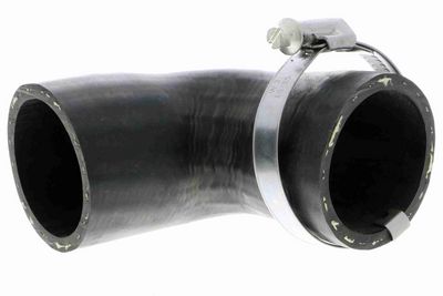 FURTUN EAR SUPRAALIMENTARE