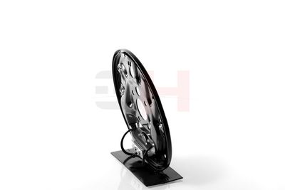 PROTECTIE STROPIRE DISC FRANA GH GH484325H 22