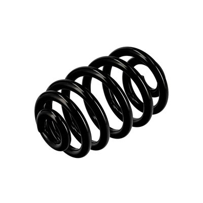 ARC SPIRAL EIBACH R10010 16