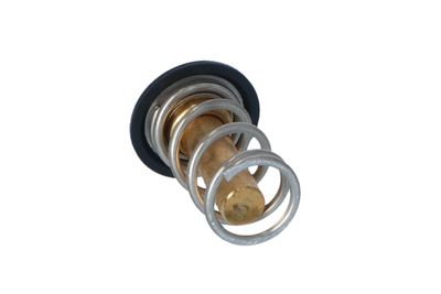 TERMOSTAT LICHID RACIRE NRF 725069 12