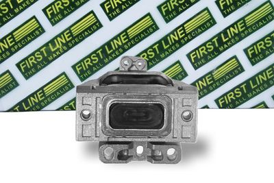 окачване, двигател FIRST LINE FEM3118