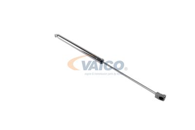 GASFEDER KOFFER-/LADERAUM VAICO V260203 20