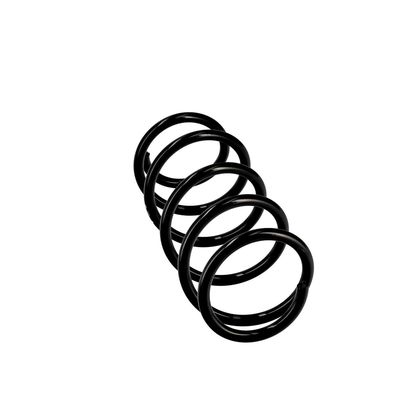 ARC SPIRAL EIBACH R10116 12