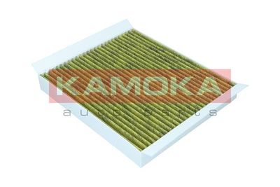 Filter, cabin air 6080027