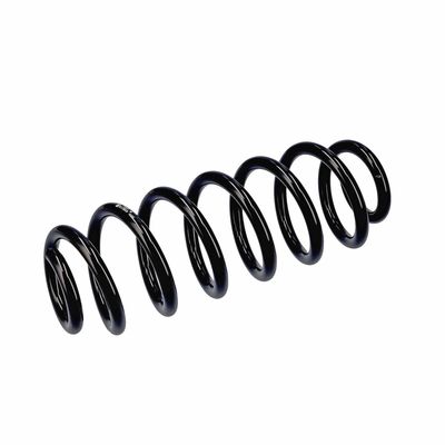 ARC SPIRAL EIBACH R13605 5