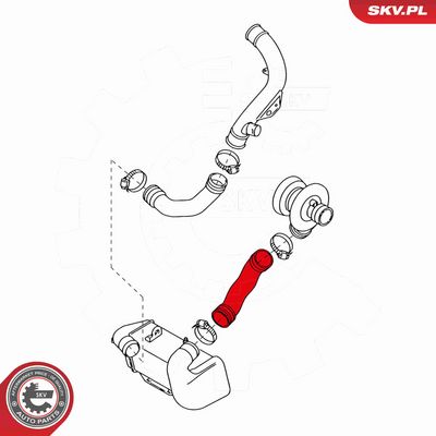 FURTUN EAR SUPRAALIMENTARE ESEN SKV 24SKV676 3