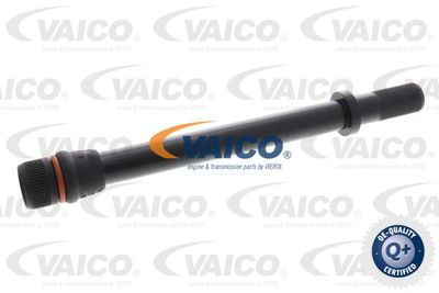 VAICO V10-6647 Щуп масляный  для SEAT EXEO (Сеат Еxео)