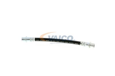 FURTUN FRANA VAICO V404114 13