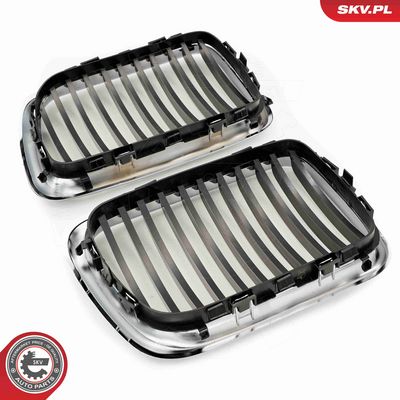 GRILA RADIATOR ESEN SKV 66SKV052 4