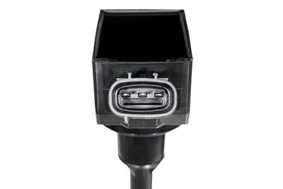 ZüNDSPULE BorgWarner (BERU) ZSE318 2