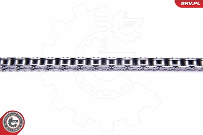 Timing Chain Kit 21SKV172