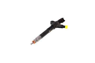 INJECTOR REMANTE 002003002094R 62