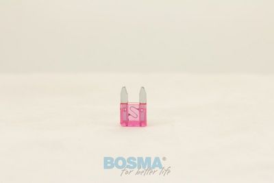 Kaitse BOSMA 1976