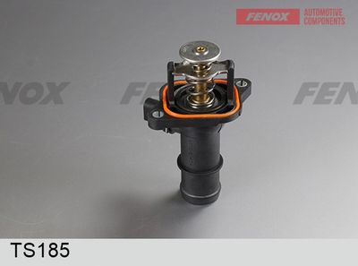 термостат, охладителна течност FENOX TS185