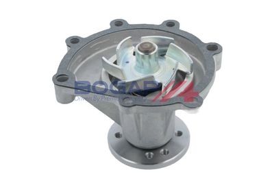 POMPă DE APă RăCIRE MOTOR BOGAP G4234111