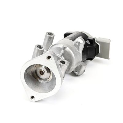 AGR-VENTIL DELPHI EG1064112B1 21