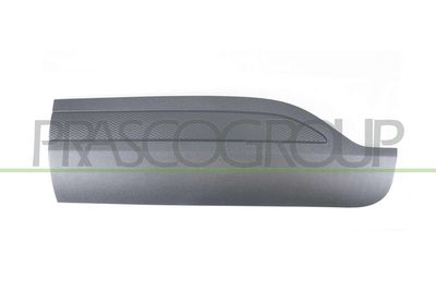 ELEMENTE DECORATIVE/PROTECTIE PORTIERA