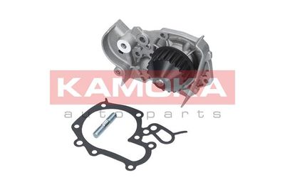 Water Pump, engine cooling T0241
