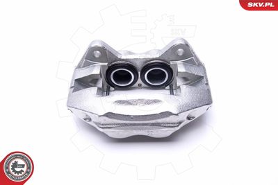 Brake Caliper 46SKV732