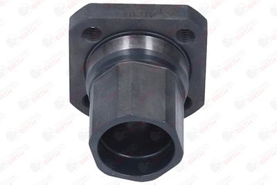 FLANSA LICHID RACIRE BIRTH 4030 1