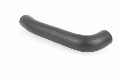 FURTUN EAR SUPRAALIMENTARE ACKOJA A379602 6