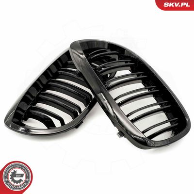 GRILA RADIATOR ESEN SKV 66SKV073 1