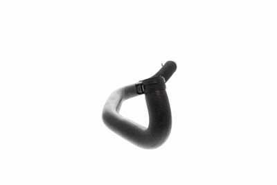 KüHLERSCHLAUCH VAICO V304217 9