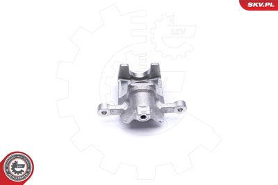 Brake Caliper 42SKV464