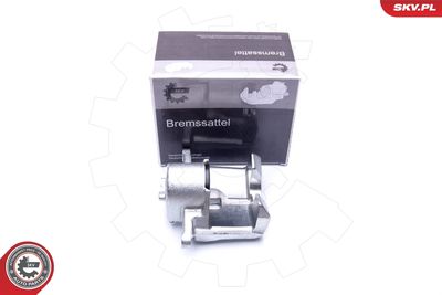 Brake Caliper 44SKV861